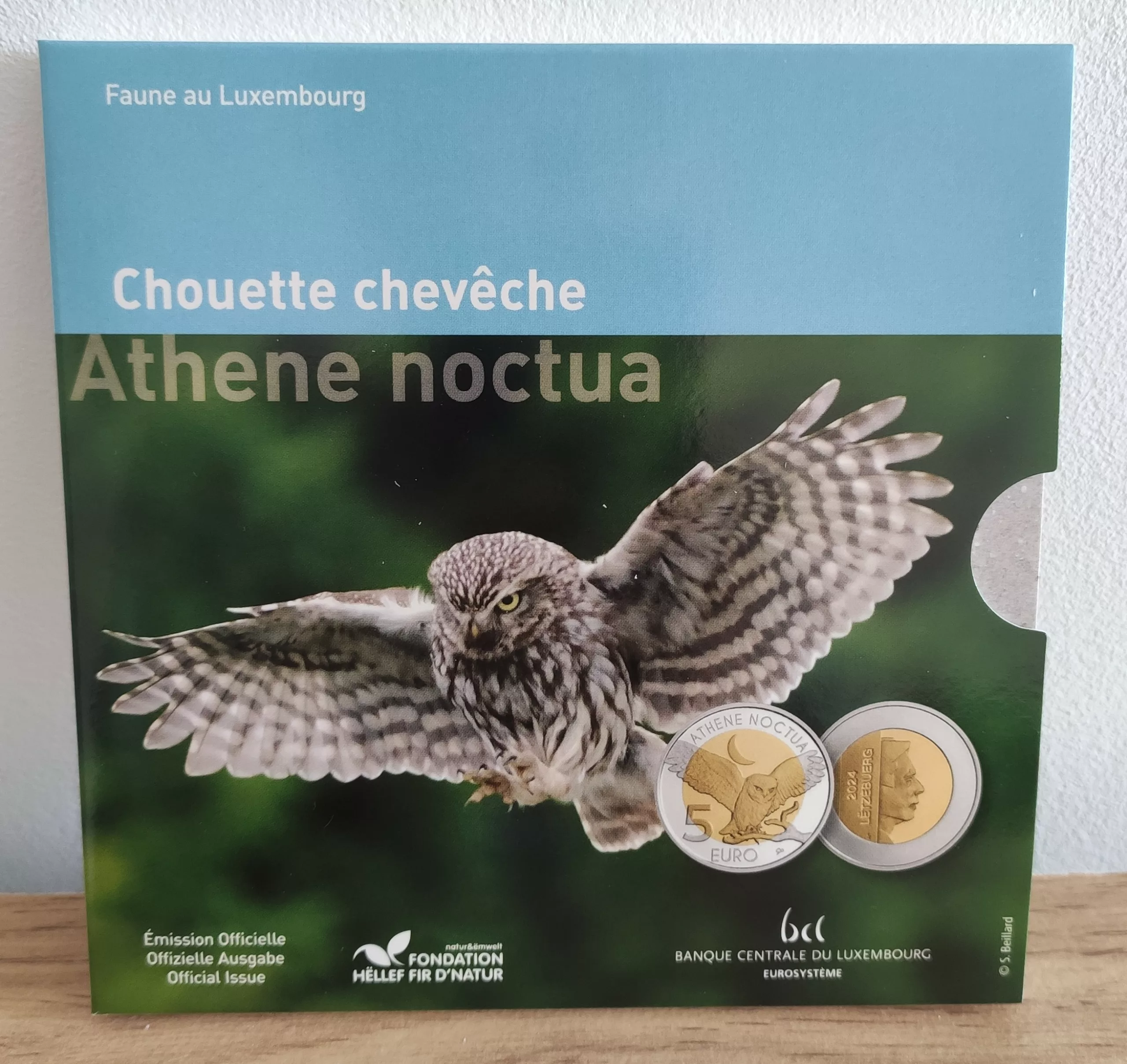 Coffret 5€ Chouette chevêche